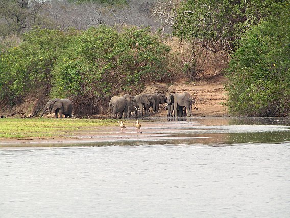 Selous Game Reserve
