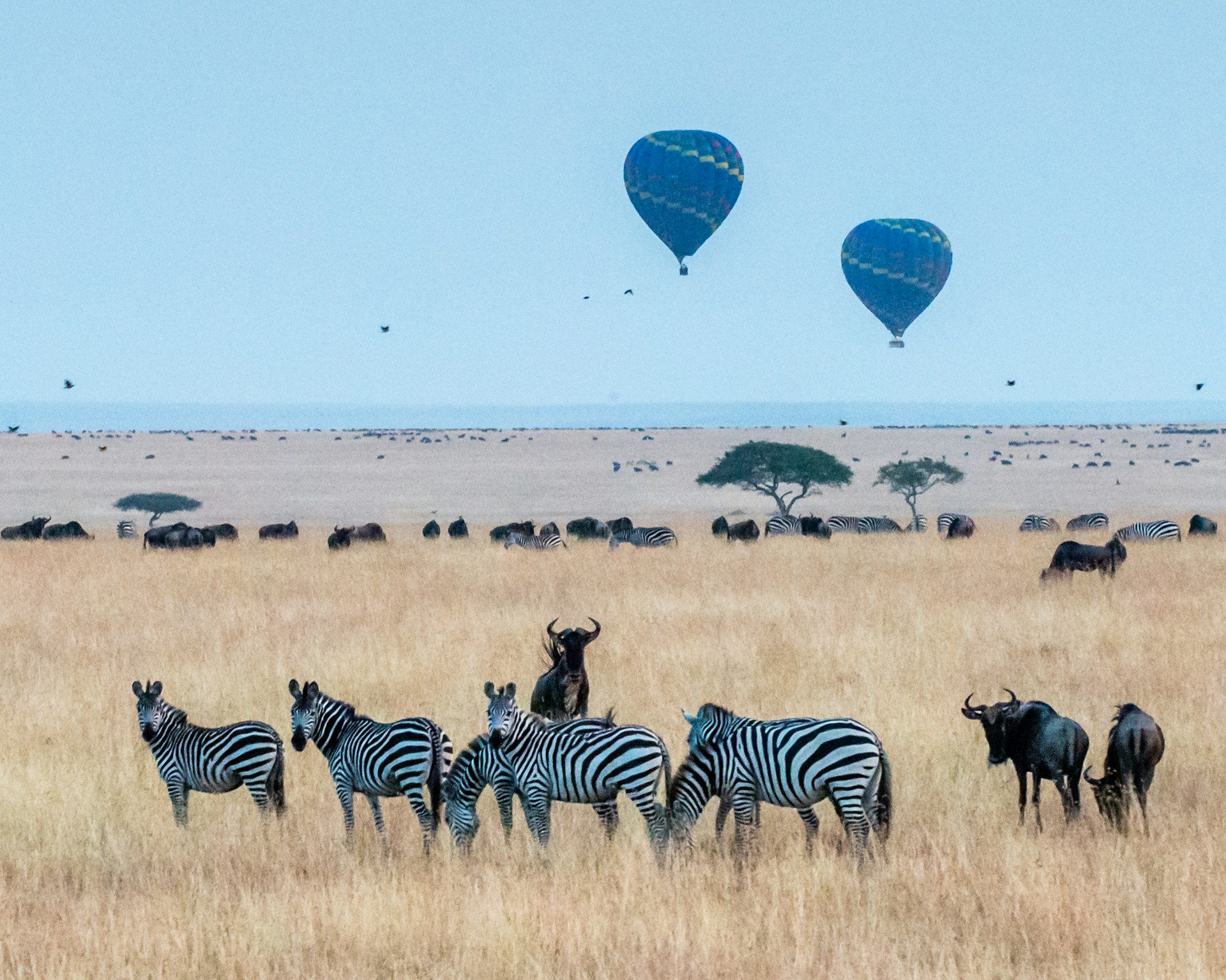 Tanzania